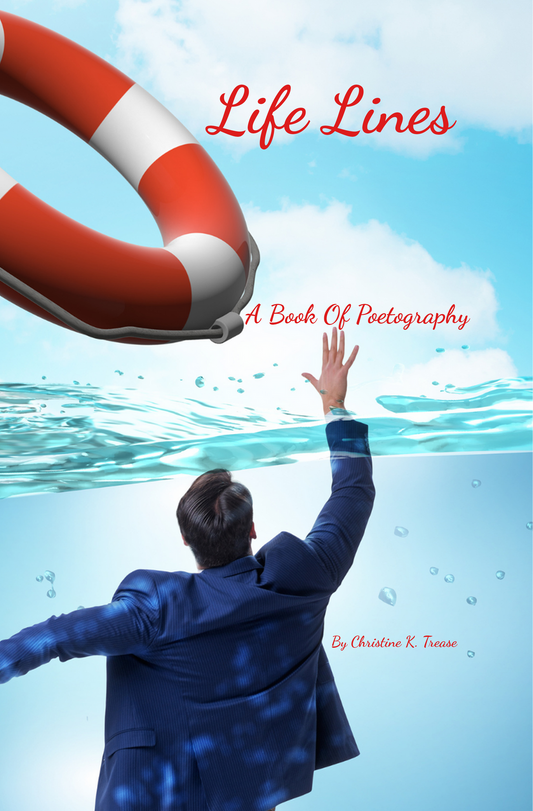 Books For Grownups-Life Lines Book